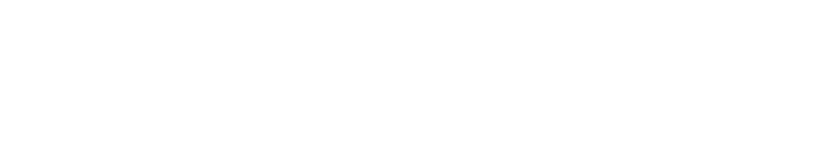 DiyJob X